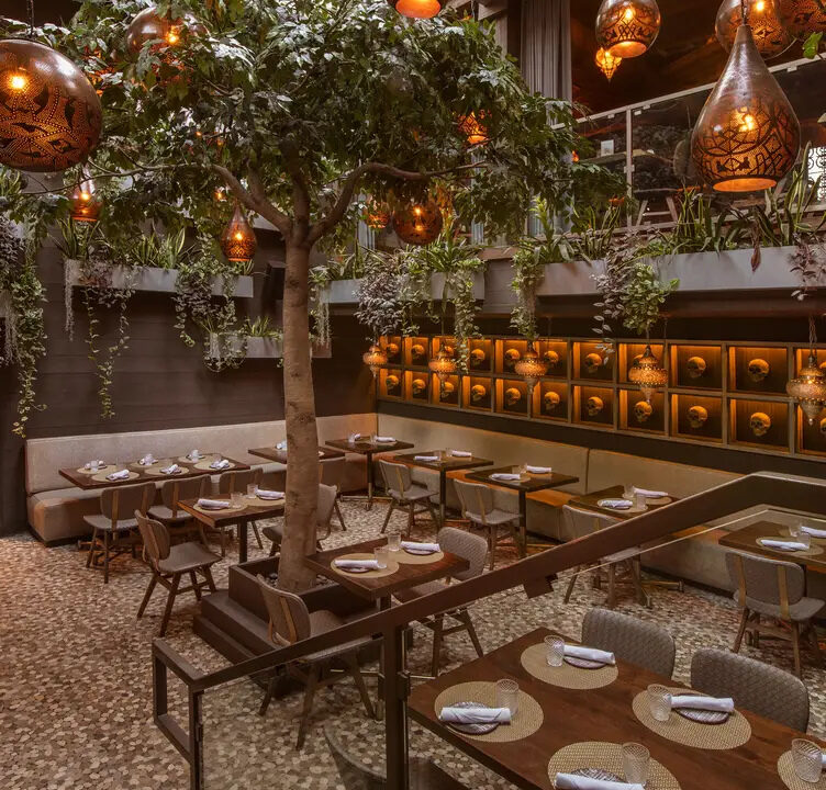 Photo Jul 24 2025, 11 37 46 PM (2)